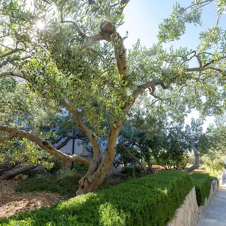 Appartement By The Sea Zavala, Hvar - 553